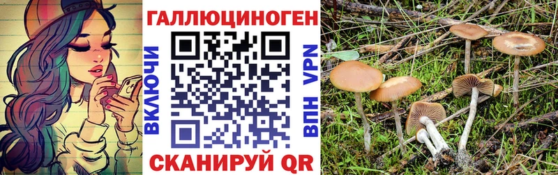 Псилоцибиновые грибы Magic Shrooms  Купить закладки  Тула 